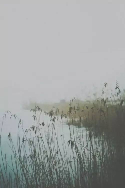 从古至今最有水平的30首诗词,中国40首最高水平诗词