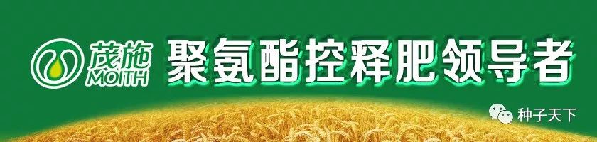 黑龙江关于转基因作物的政策,农业部规定哪些种子是假种子