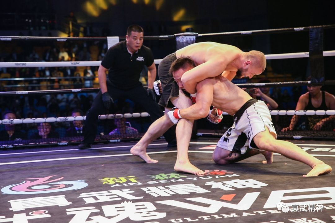 真武魂英雄出击,真武魂冠军