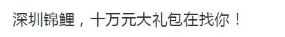 锦鲤为什么火了,中国锦鲤隐藏套路