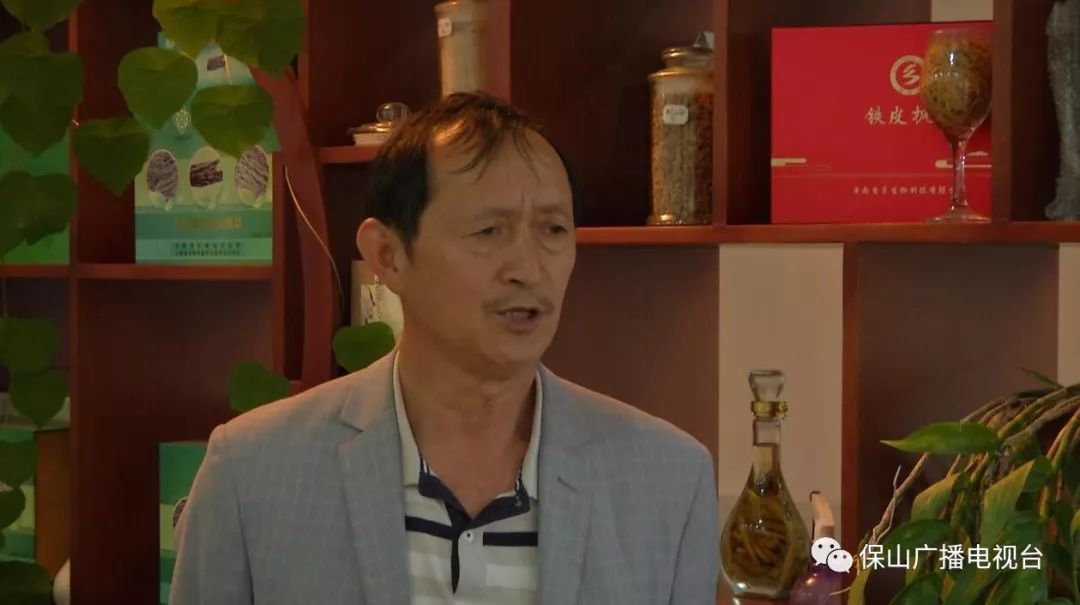 龙陵石斛产业合作,龙陵镇石斛