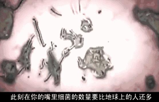 小编推荐丨缓解咳嗽、口臭，试试这个“千金方”！澳洲纯植物提取