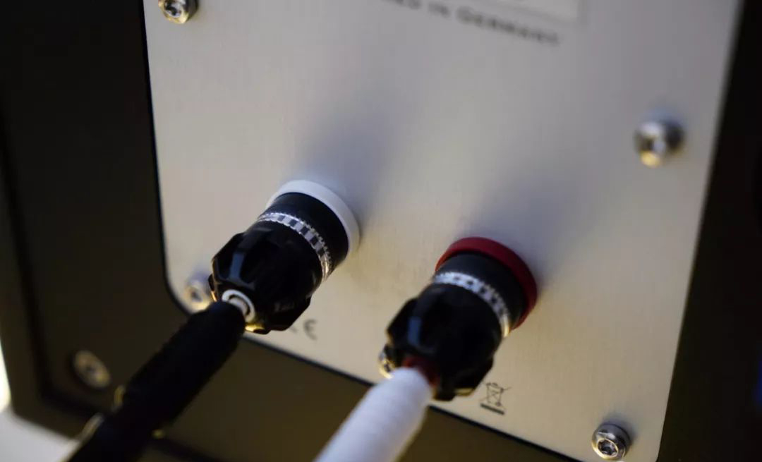 如美玉,德国dynamikks音箱