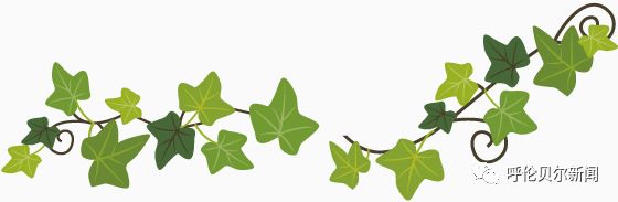 兰舍硅藻泥和合成墙面哪个好,兰舍硅藻泥用设计诠释轻奢的高级