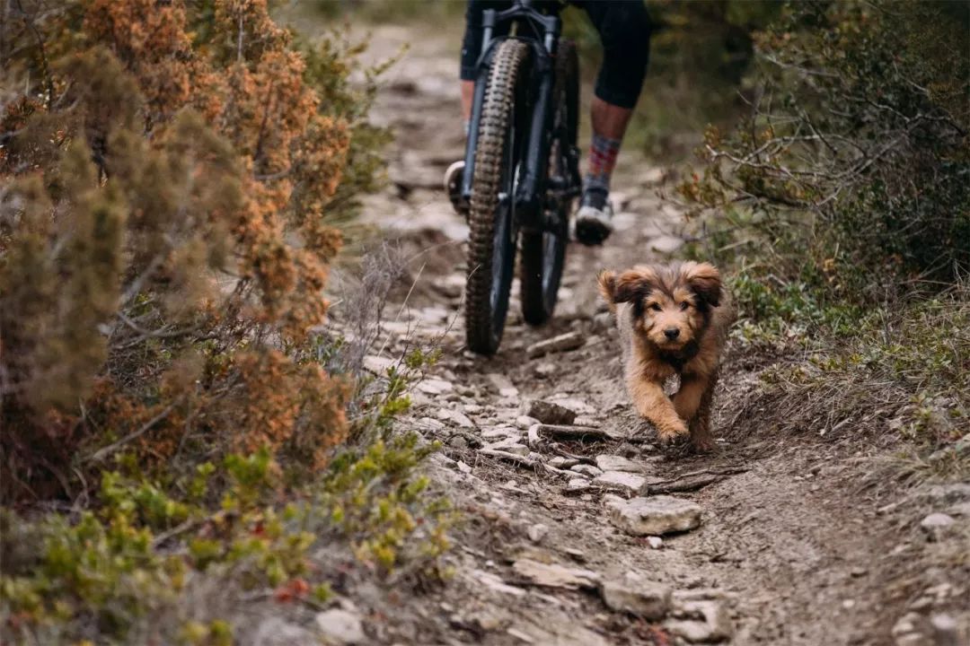 现在最划算的最新款山地车,十款性价比高的进阶级山地车