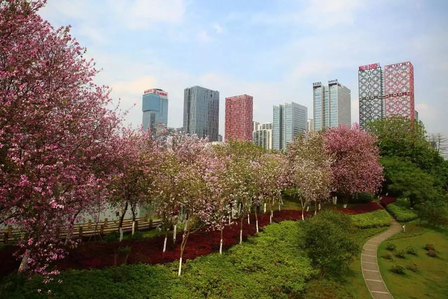 现在柳州的经济有多难,柳州经济靠什么