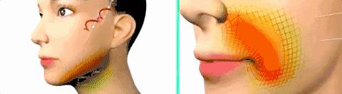 “旺夫体质”发威成吸粉大户，天生好面相到底有多强