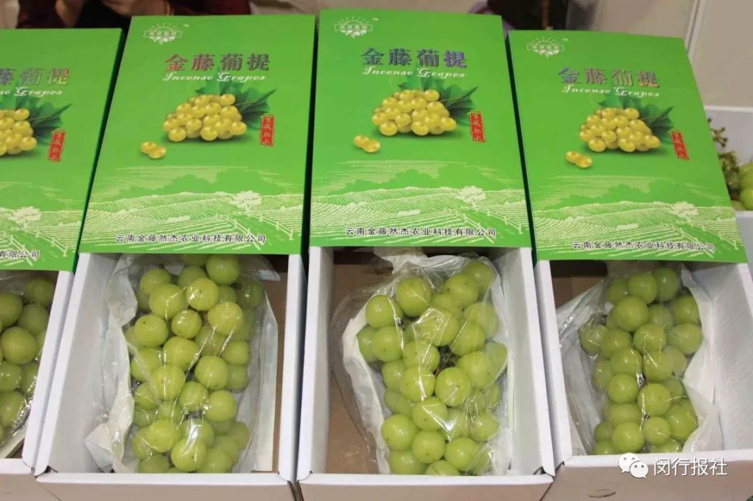 买到吃到就是爱！喀什灰枣、高原土鸡……千种特产来闵行，抓紧吧！