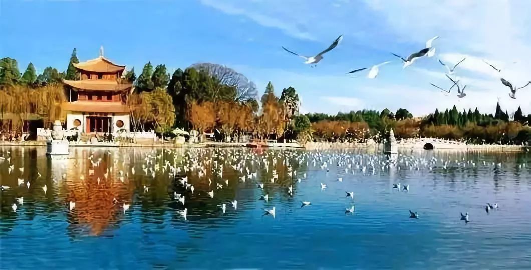 昆明主城中央公园及cbd核心区规划,昆明世博园片区最新规划