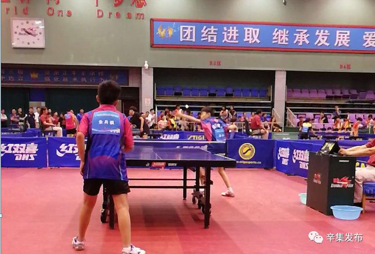 辛集学校有哪些,辛集有哪些职教类学校