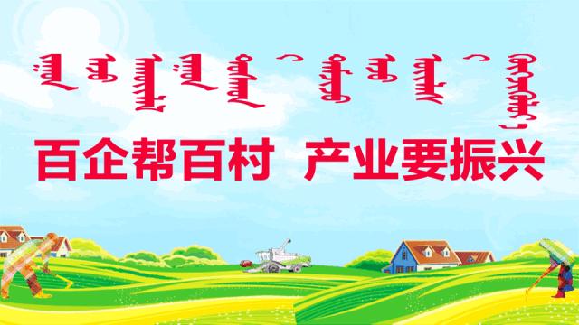 「乌审·民情日记」大牛地村第一书记朝格吉乐图