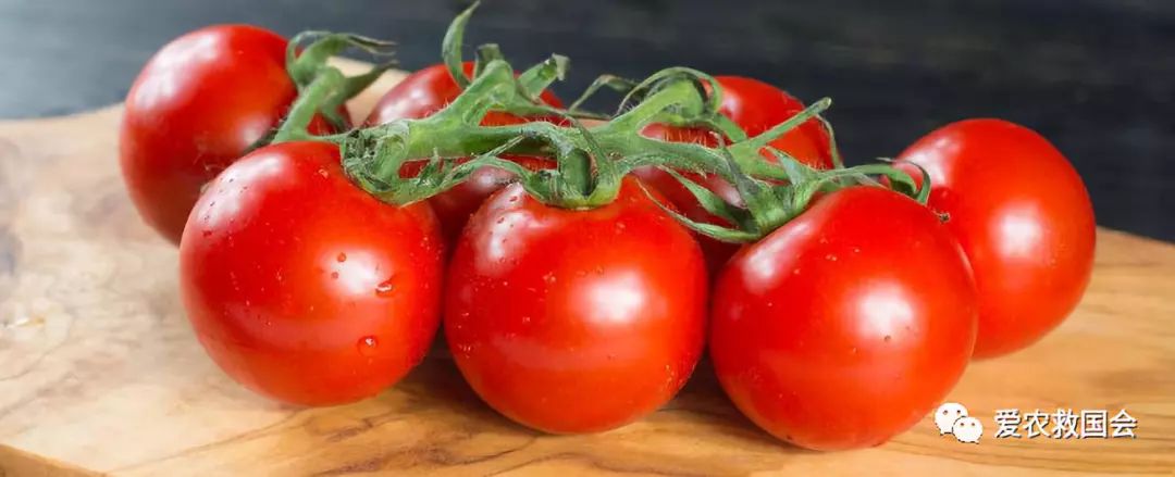 金芷神痛风茶,痛风能喝的茶