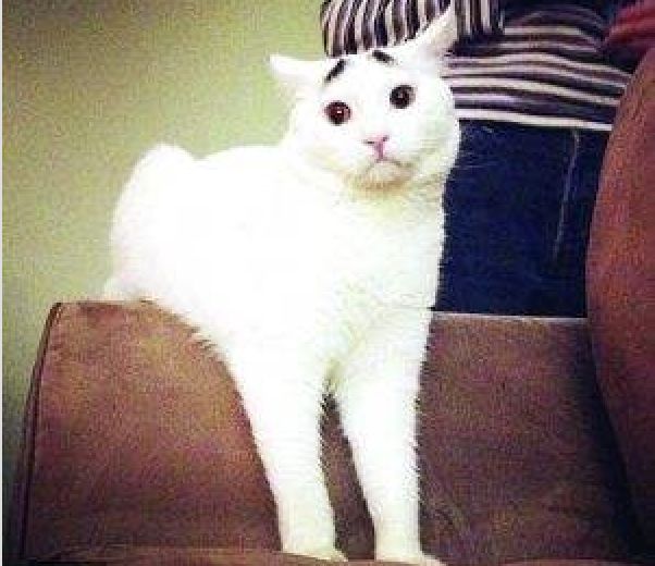 拿到梦校offer的高中生,那些为梦想奋斗的人