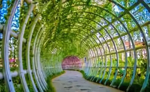 包头森林春天文旅新天地,包头森林春天有发展吗