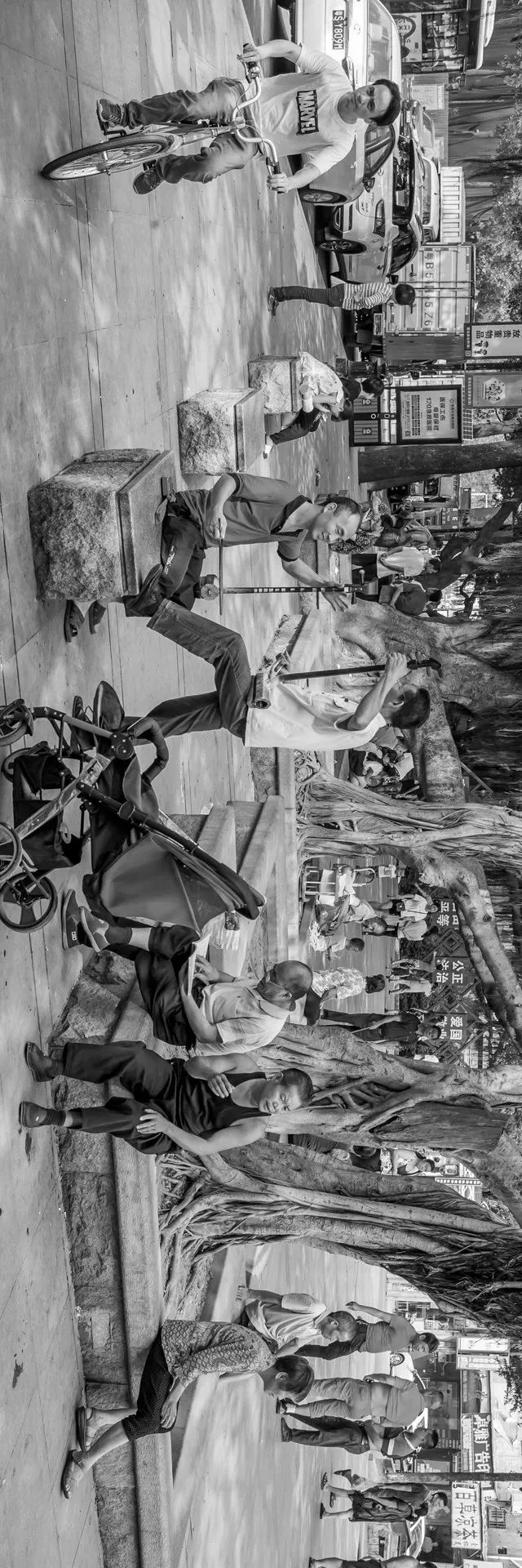 一张图看完粤港澳大湾区,粤港澳大湾区城市风光