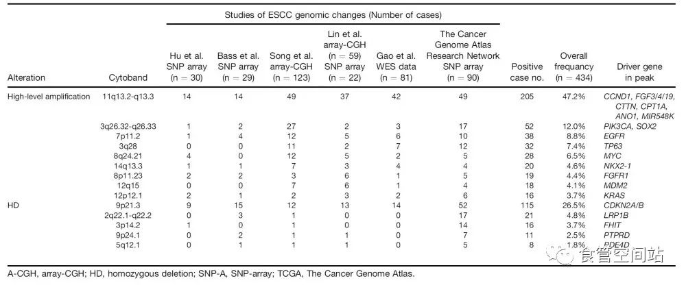 食管鳞癌病例分析,食管鳞癌会基因突变吗