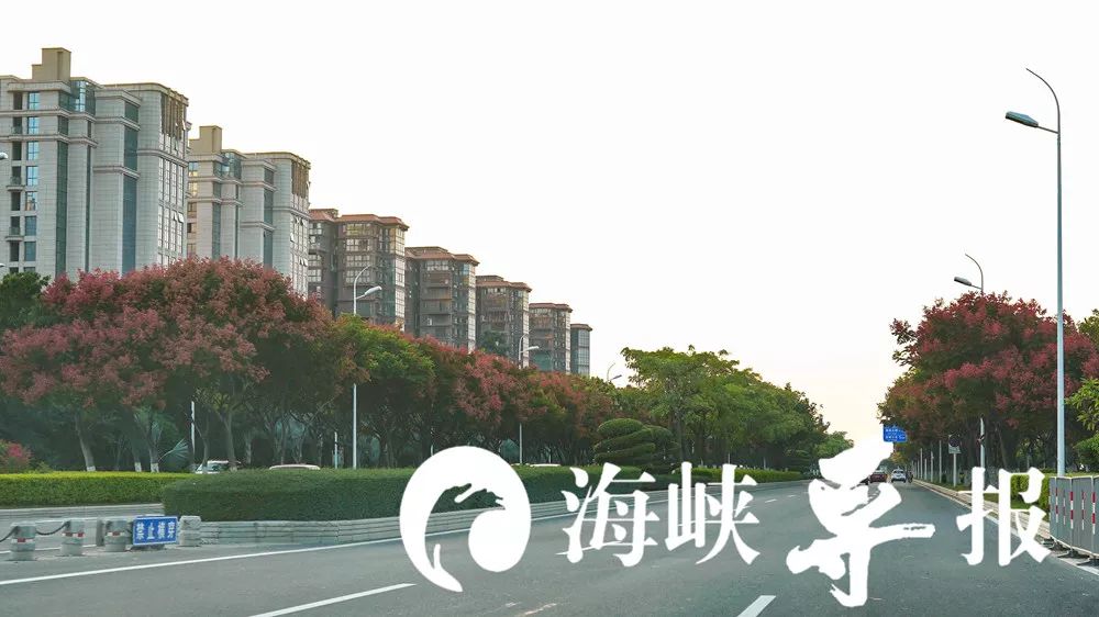 带你看美丽的厦门海边美景,厦门海洋最美丽的风景