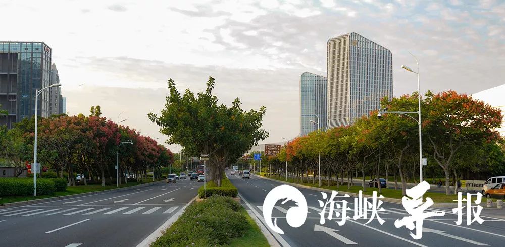 带你看美丽的厦门海边美景,厦门海洋最美丽的风景