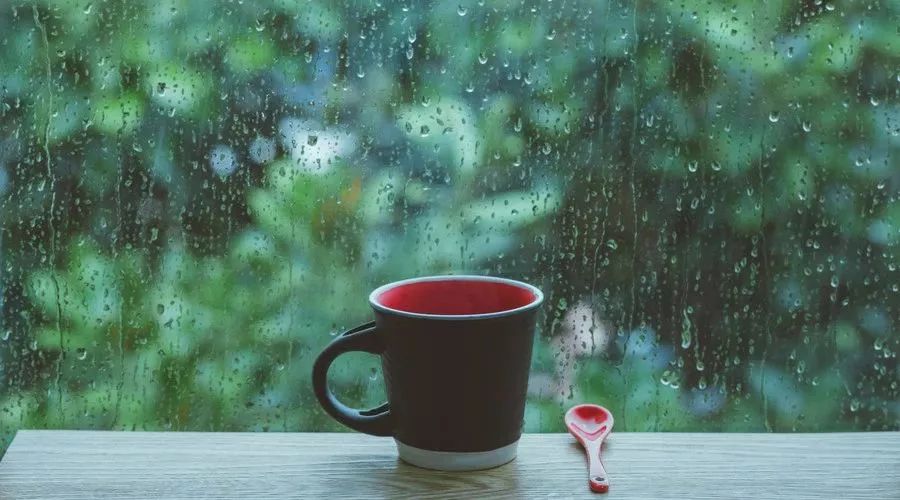 袜子脏了怎样洗白不用小苏打,洗白袜子加什么能洗干净