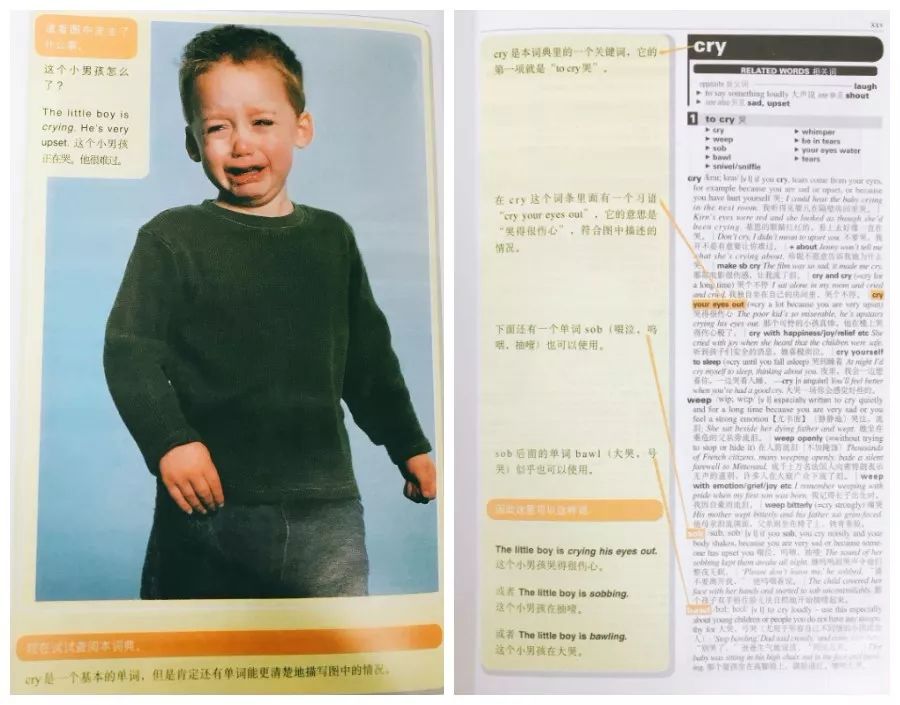 值得学习的10本书,大学生必看的英文书籍推荐