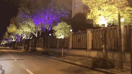 医疗卫生设施规划建设,医疗卫生文化建设内容