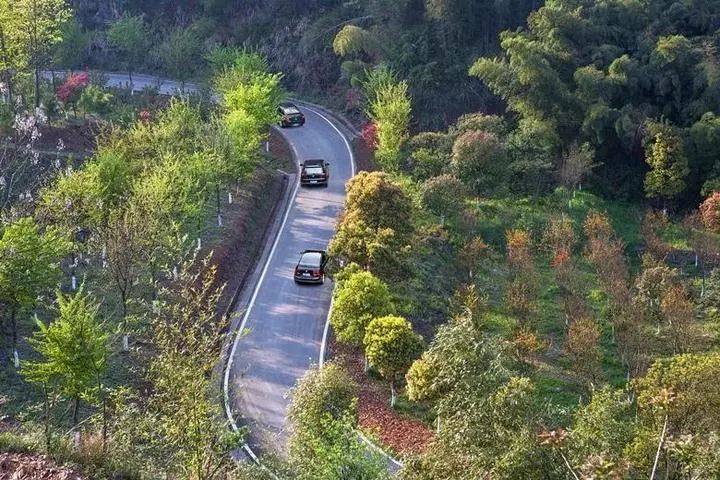 湖州森林覆盖率多少,森林覆盖率达到24.1%