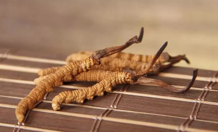 冬虫夏草踢出保健品,中央台曝光冬虫夏草踢出保健品