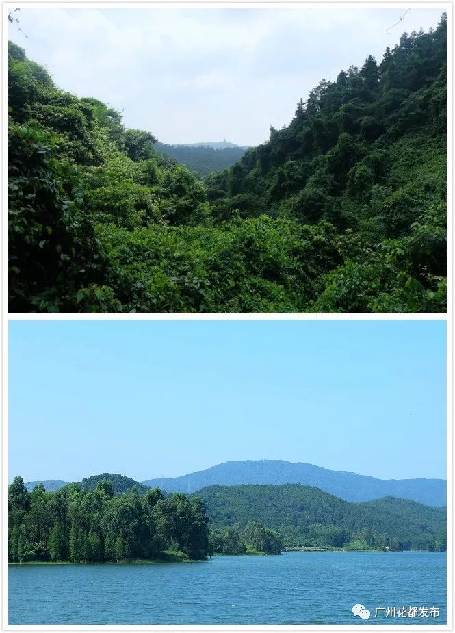 广东十大绿美森林小镇投票,2019年广东省森林小镇认定名单