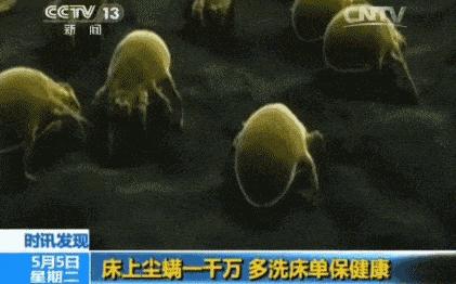 蚕丝被电视台曝光,央视曝光蚕丝被长期盖