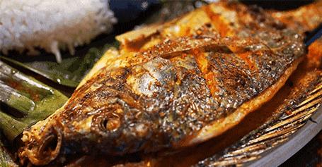 陈晓卿的美食推荐地 (陈晓卿最好吃的美食)