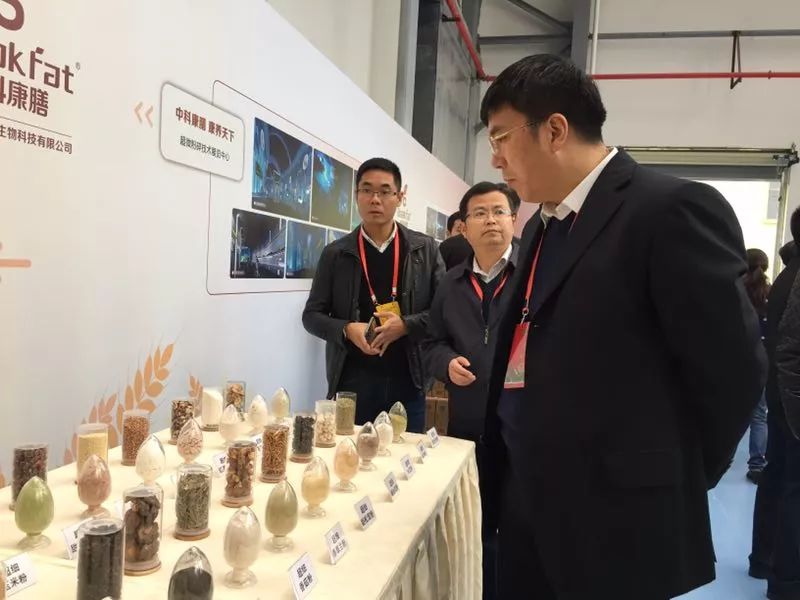 抓党建促乡村振兴现场会交流发言,迎接重点项目观摩推进会上的讲话