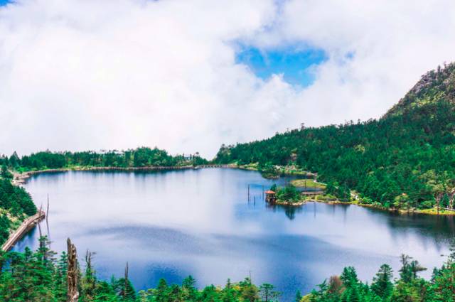 四川有座紫色小城，5月比美澳洲，比大理更多情