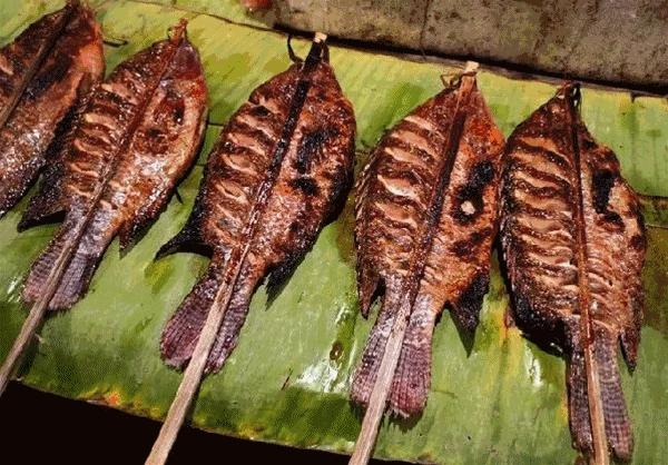 什么地方可以坐高铁去泰国,从中国坐高铁去泰国