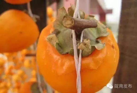 刚刚好！陇南的柿子红了，“柿”不可挡~