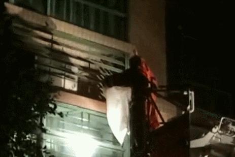 清溪找马蜂,东莞清溪马蜂