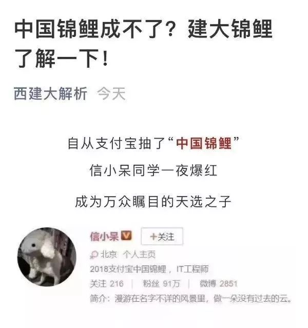 关于锦鲤的骗局有哪些呢,中国锦鲤火了多少年