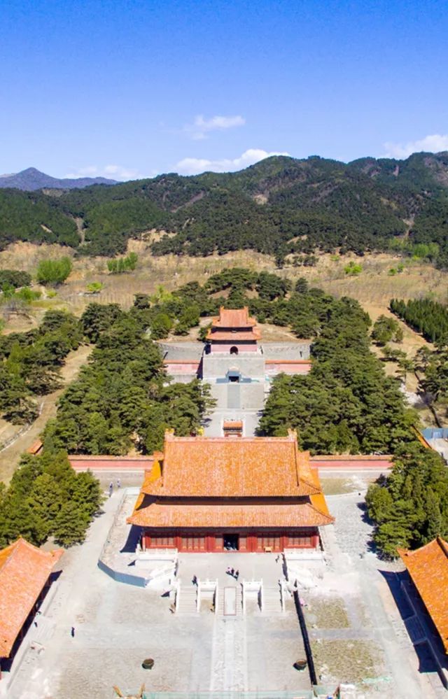 北方最大的银杏林在哪里,中国最大面积的银杏树林在哪里