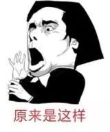 养宠小知识狗狗耳朵有螨虫的表现,养宠知识狗狗伤口怎么处理