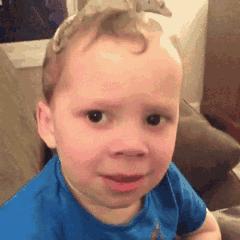 Ta在假笑么?这个识别算法可以鉴定