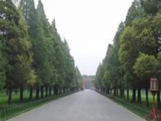 天坛缘分一道桥,北京天坛姻缘