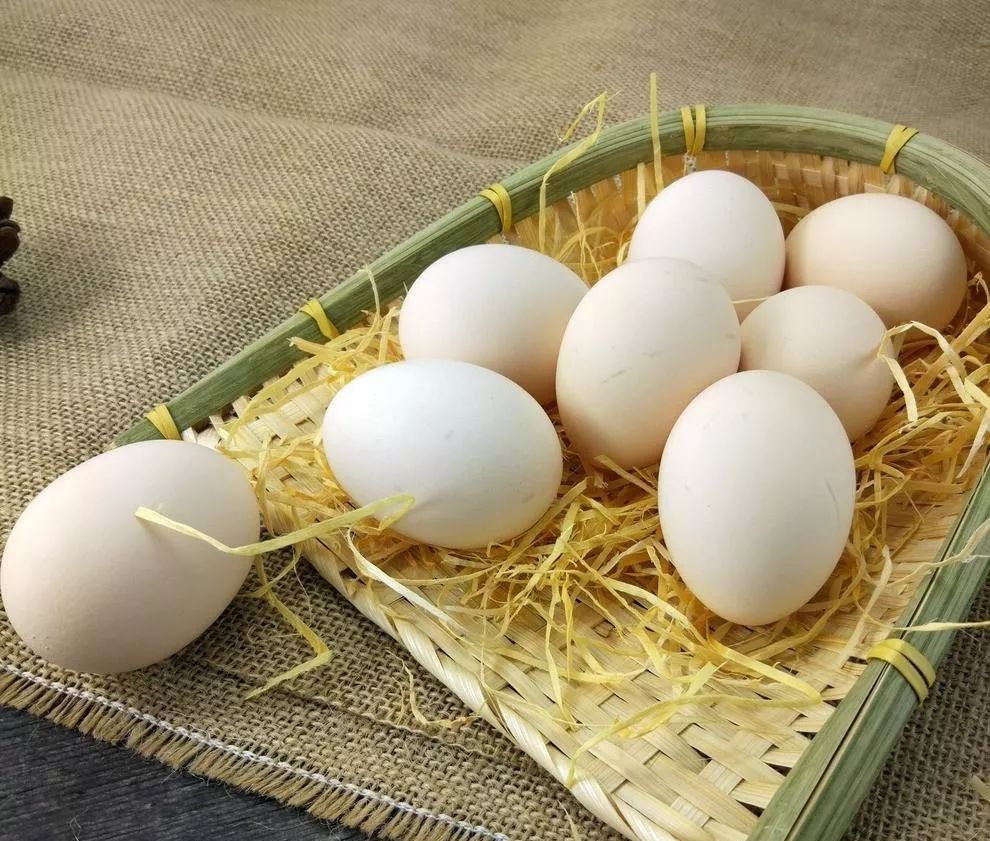 酵素真的可以抗癌吗,长期吃酵素对癌症有效吗