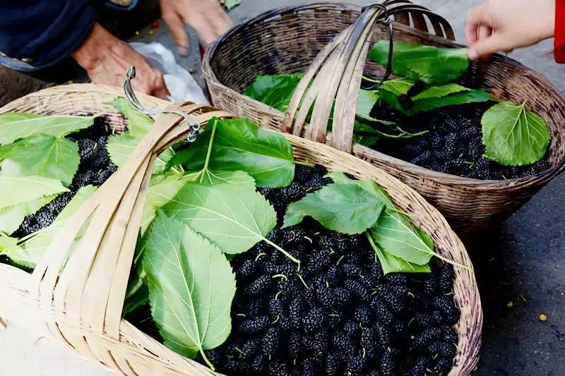 分享家乡美食特产诉说人文历史,分享家乡独特味道