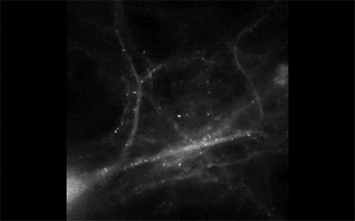 带你声临其境探索宇宙,带你探索维度空间