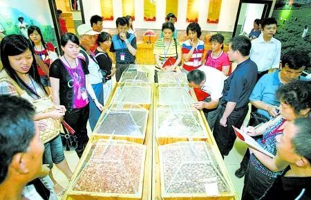 浠栧北涔嬬煶鎬荤粨,浠栧北涔嬬煶鍏堣繘缁忛獙