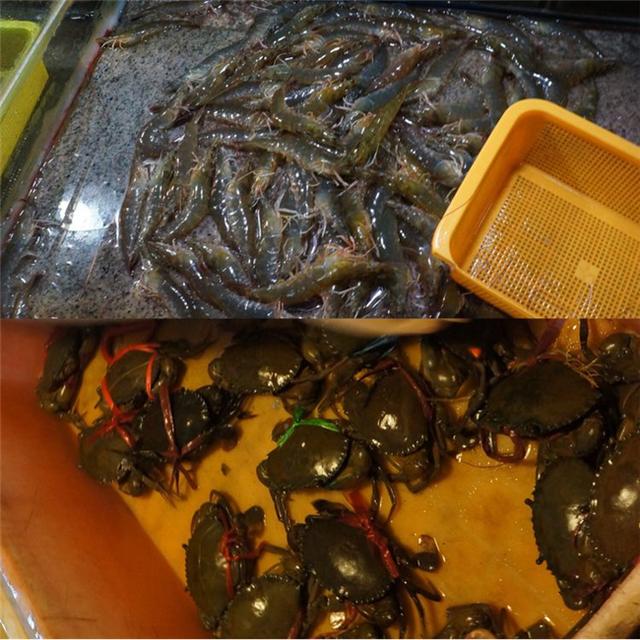 三亚亲子私人定制旅游攻略,三亚自驾亲子游攻略