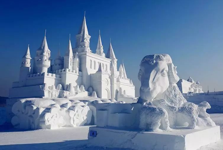 刘烨一家三口野外生活,刘烨旅游