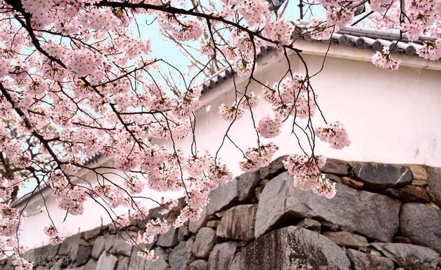 假如日本所有岛屿消失了,如果日本全国停电一天会怎么样