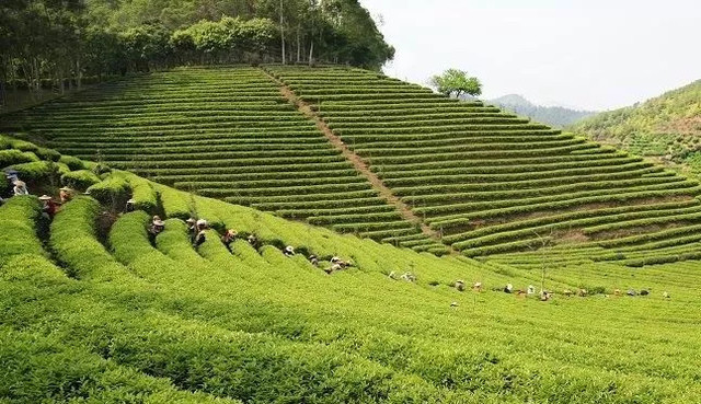 别找我，我要去梅州了！