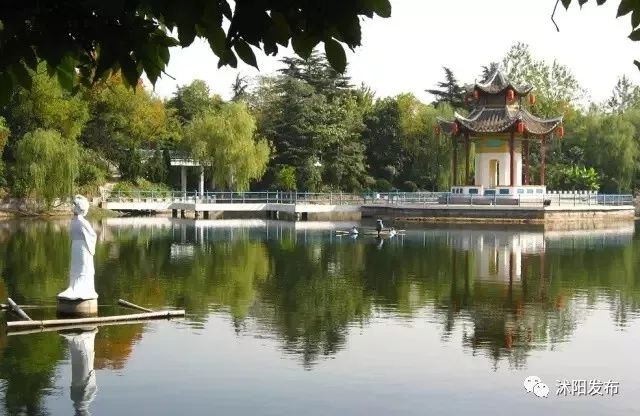 夏老师到底爱谁,夏老师喜欢陈律吗