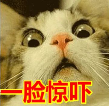 ugg鞋子投诉,ugg坏鞋事件